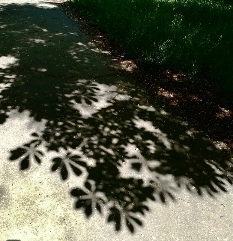 *** - Валентина Береснева