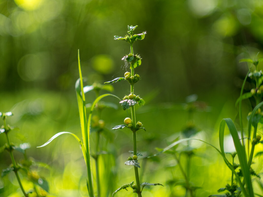 ___ - Yuriy V ___ - Yuriy V