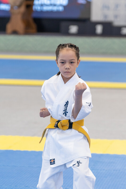 Юная чемпионка - Сергей Флетчер