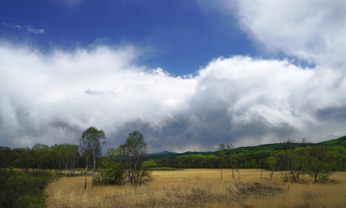Пейзаж - Эдуард Куклин Пейзаж - Эдуард Куклин