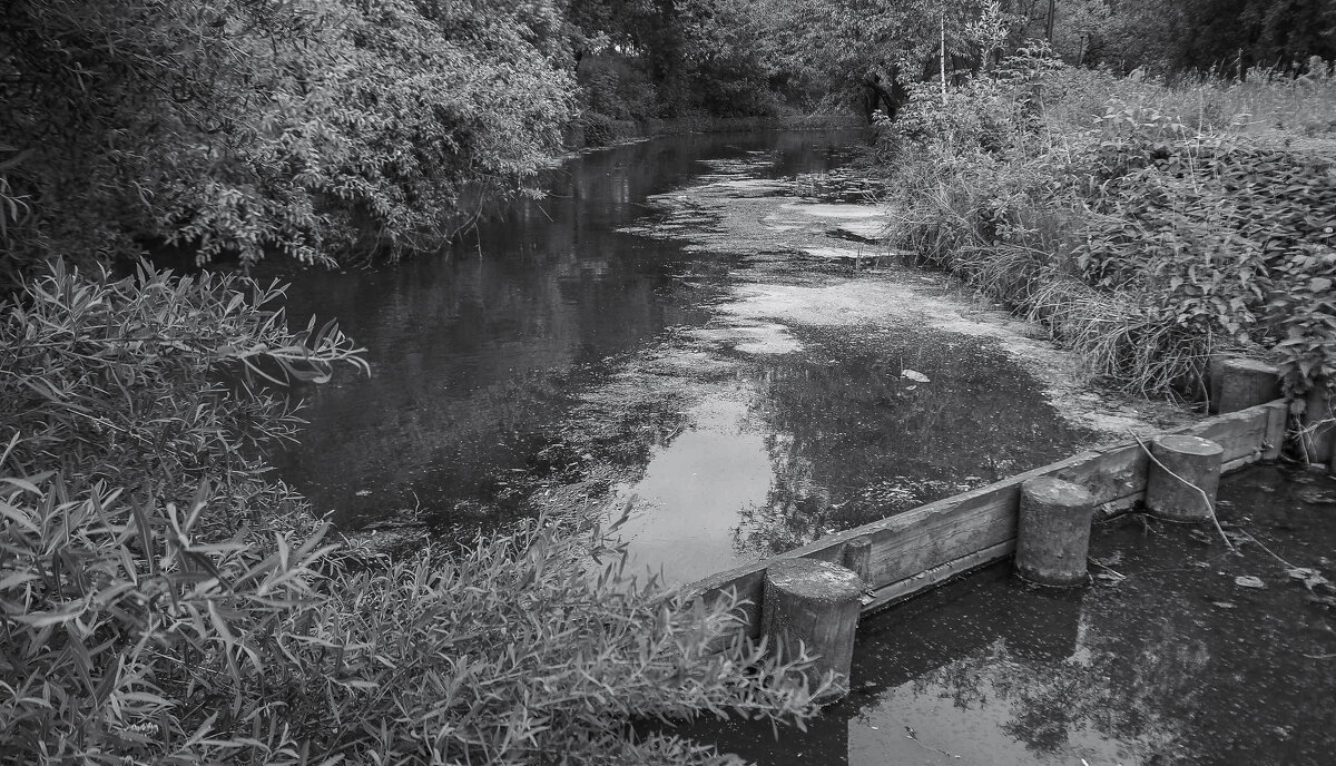 ***** - юрий поляков