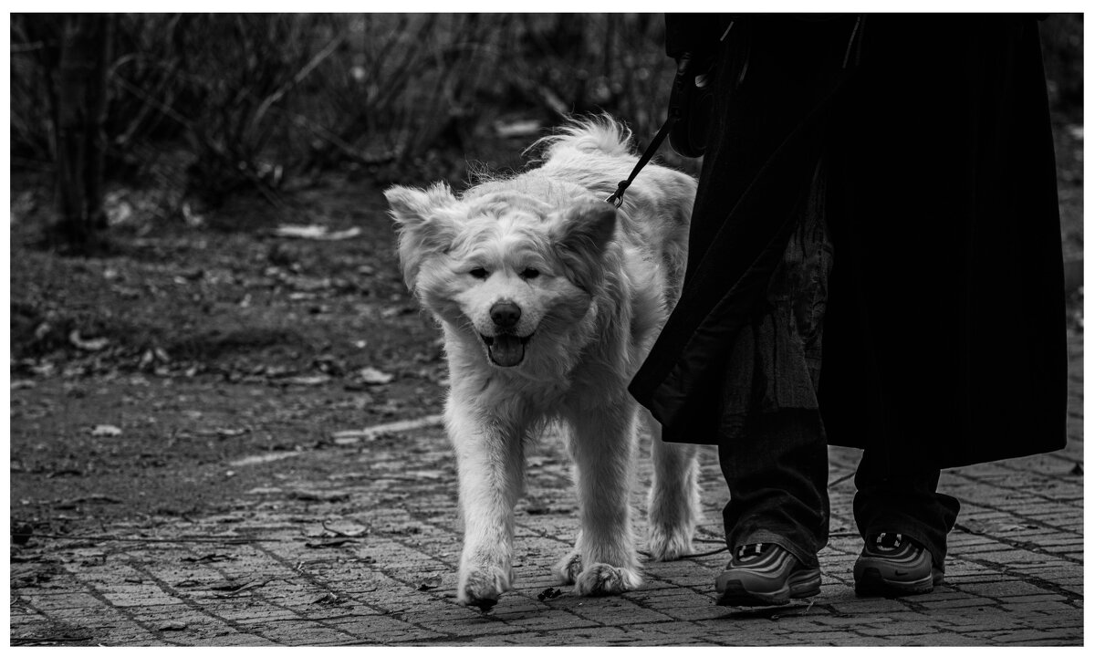 Петербург - Лана Пипякина