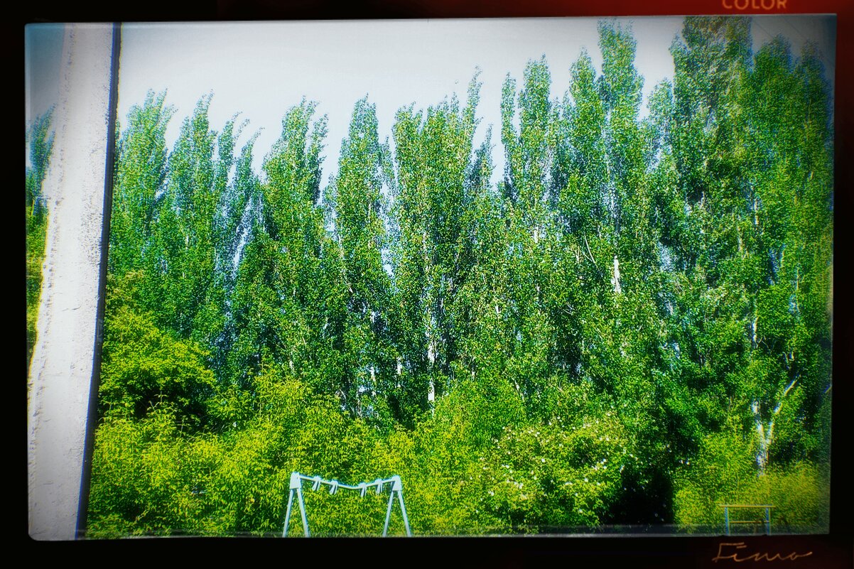 Летний ряд. - Игорь Солдаткин