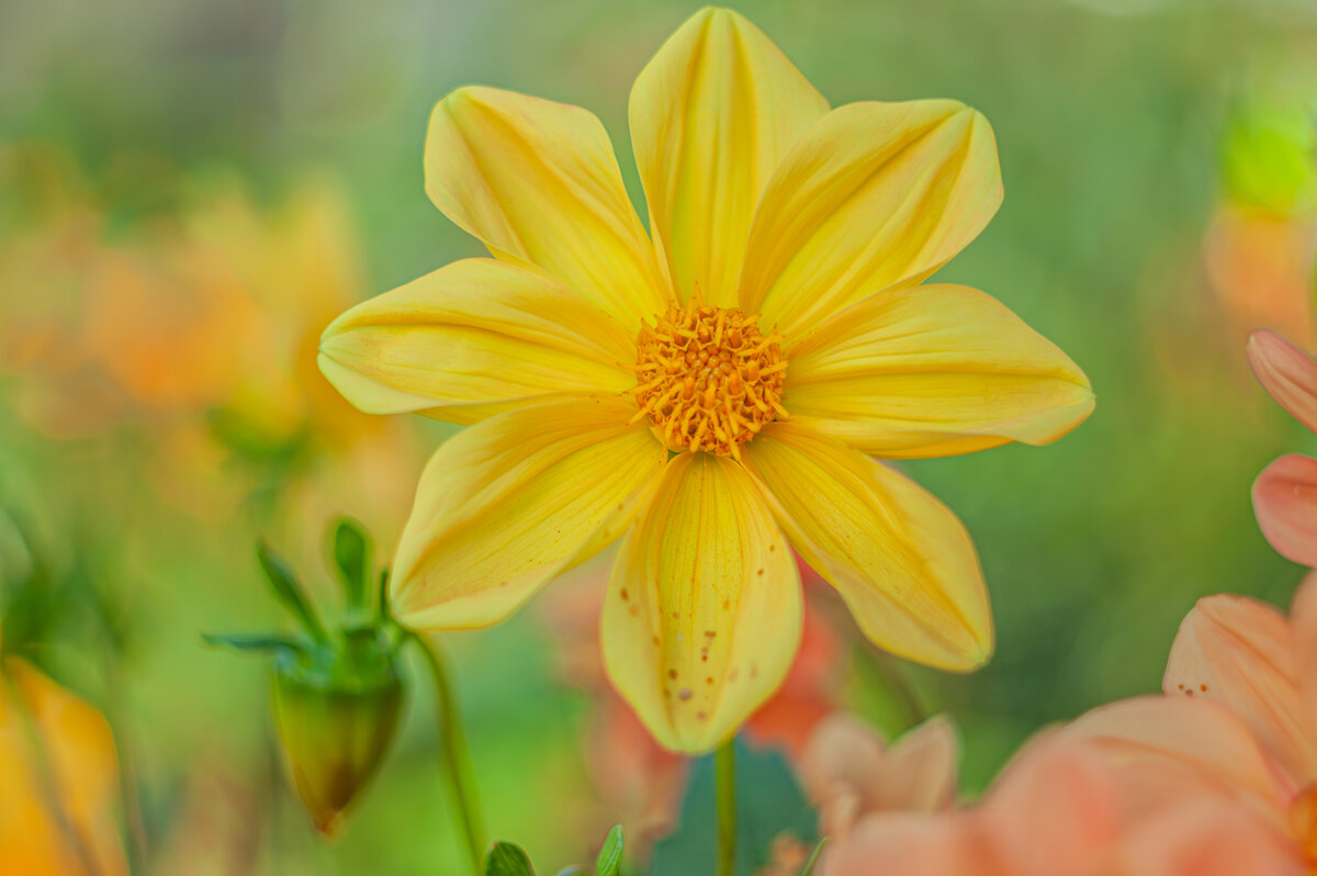 Яркие моменты - Александр Филатов Яркие моменты - Александр Филатов