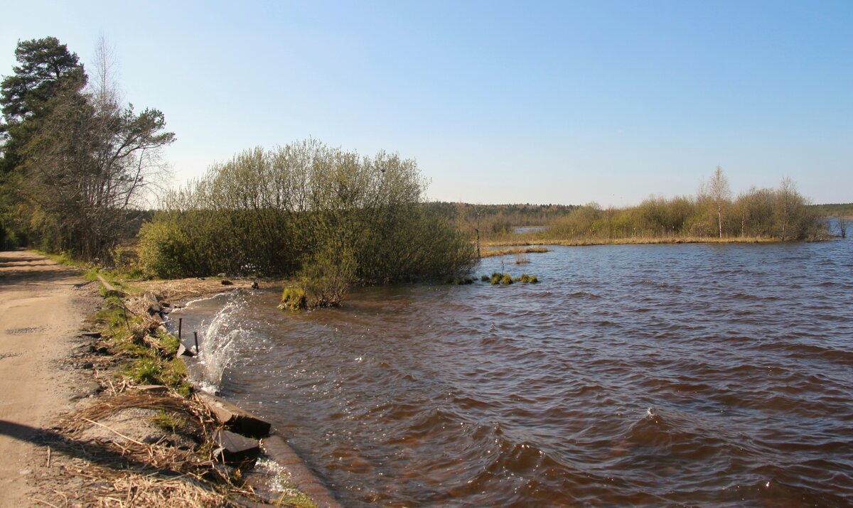 Токсово - Наталья Герасимова