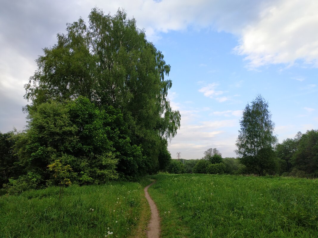 * * * - Андрей Лукьянов * * * - Андрей Лукьянов