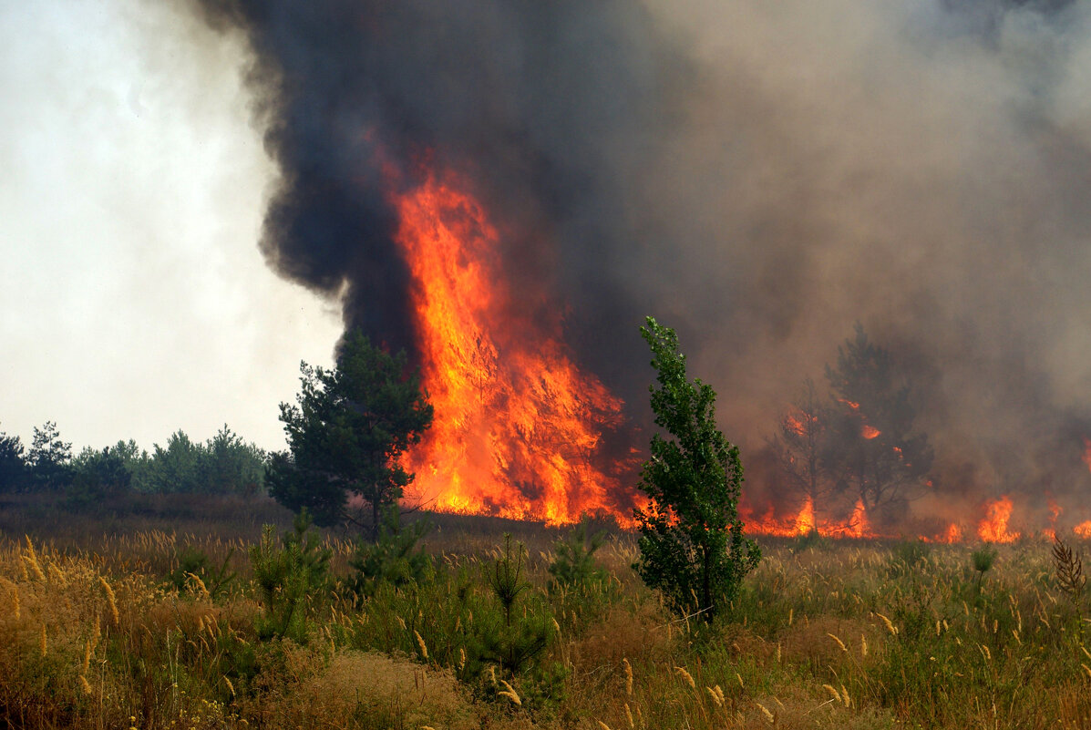 Природный пожар - Андрей Л. В. Природный пожар - Андрей Л. В.