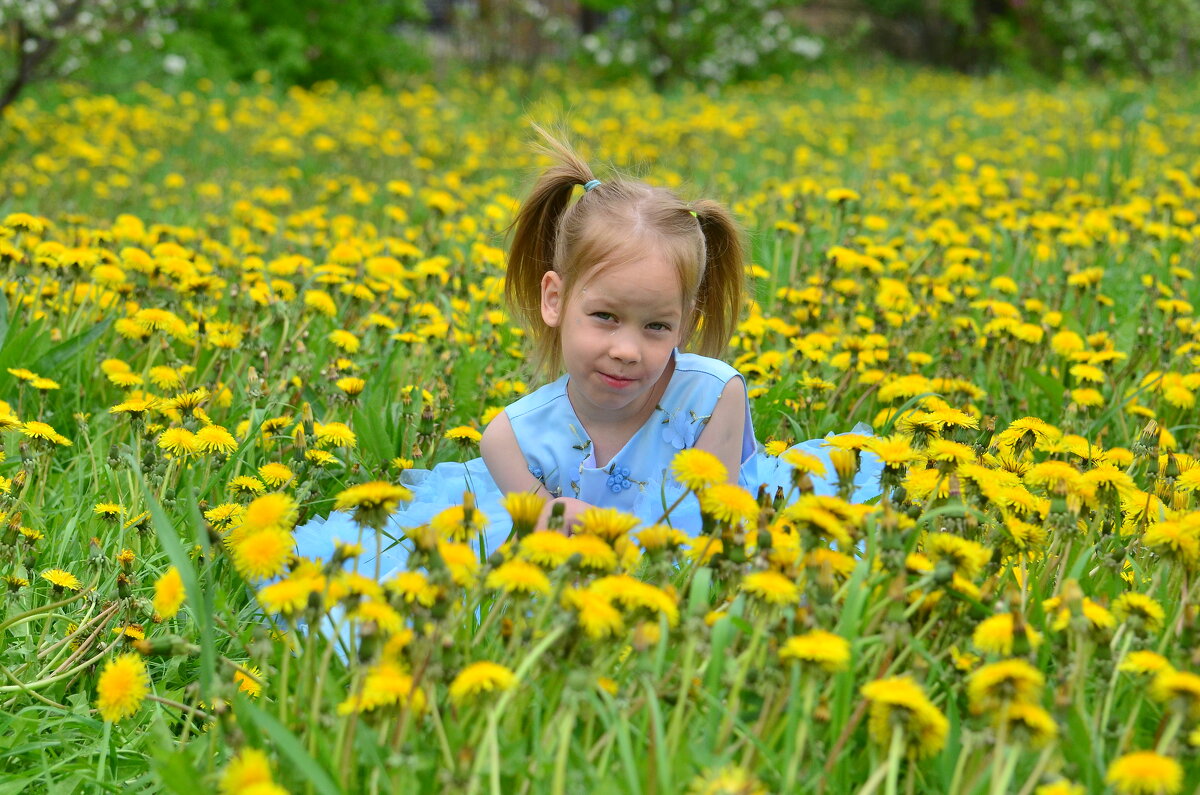 С хвостиками - Джексон С хвостиками - Джексон
