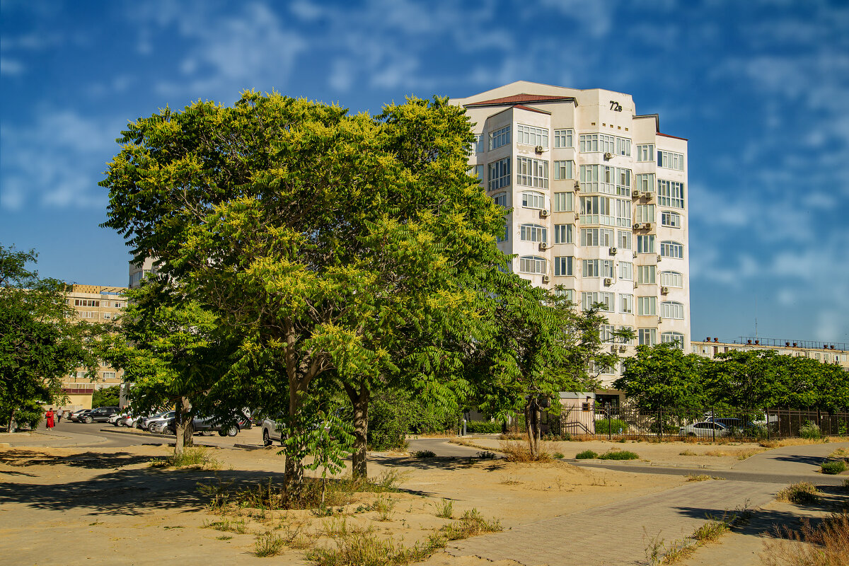 Актау - Анатолий Чикчирный Актау - Анатолий Чикчирный