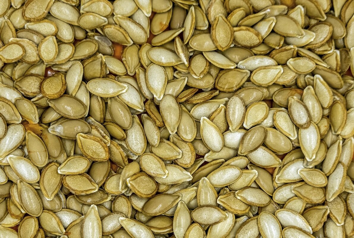 Фон из сырых тыквенных семечек - Валерий Иванович Фон из сырых тыквенных семечек - Валерий Иванович