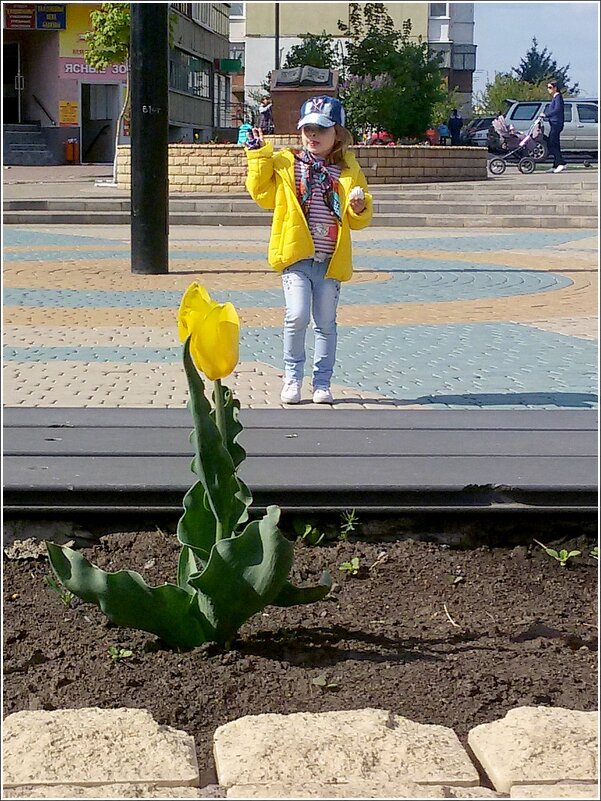 Когда тюльпаны были большими ... - Сеня Белгородский