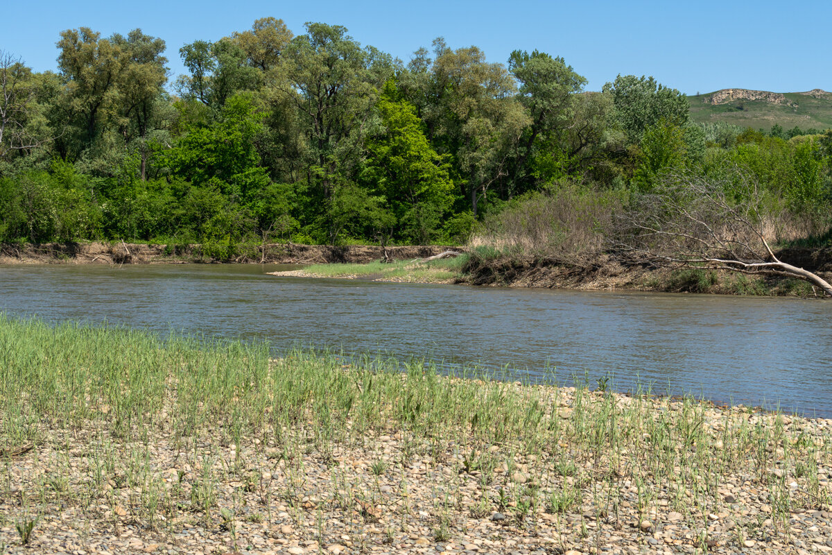 Река Кубань - Игорь Сикорский