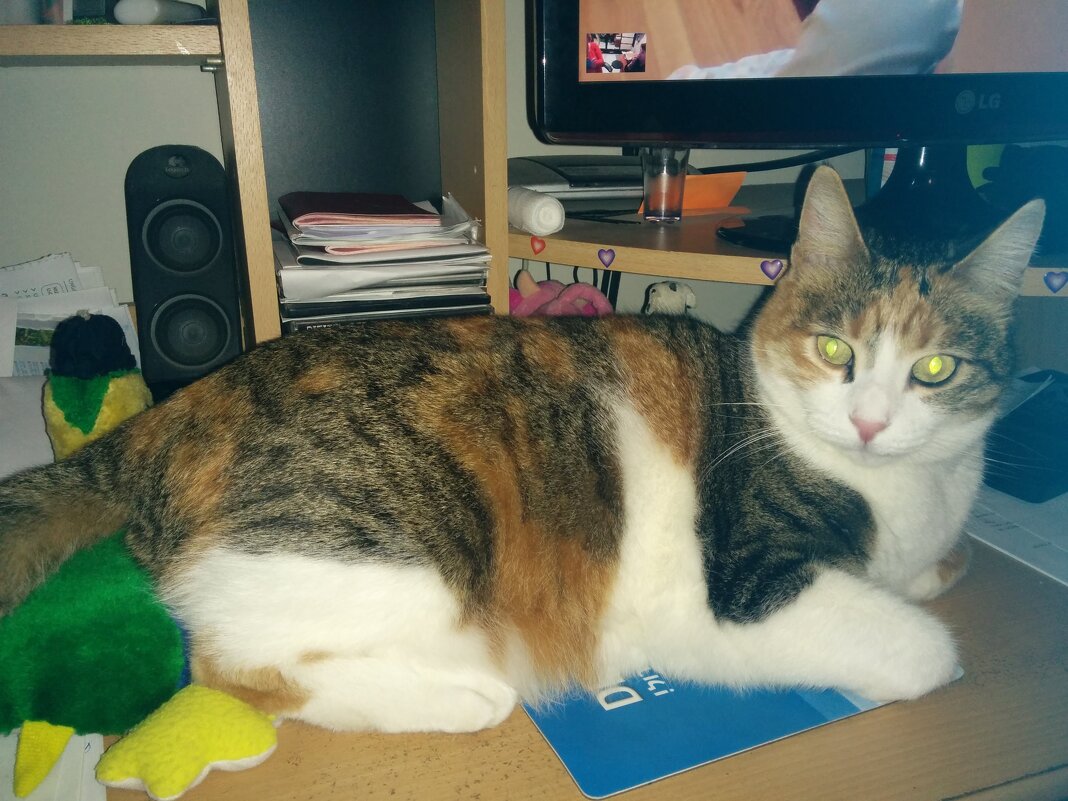 Любимое место Кэти. - Светлана Хращевская Любимое место Кэти. - Светлана Хращевская