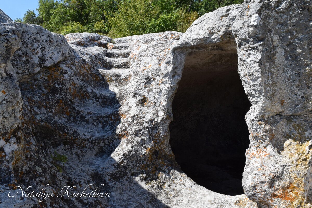 Природа Крыма - Amazing Cosmea Природа Крыма - Amazing Cosmea