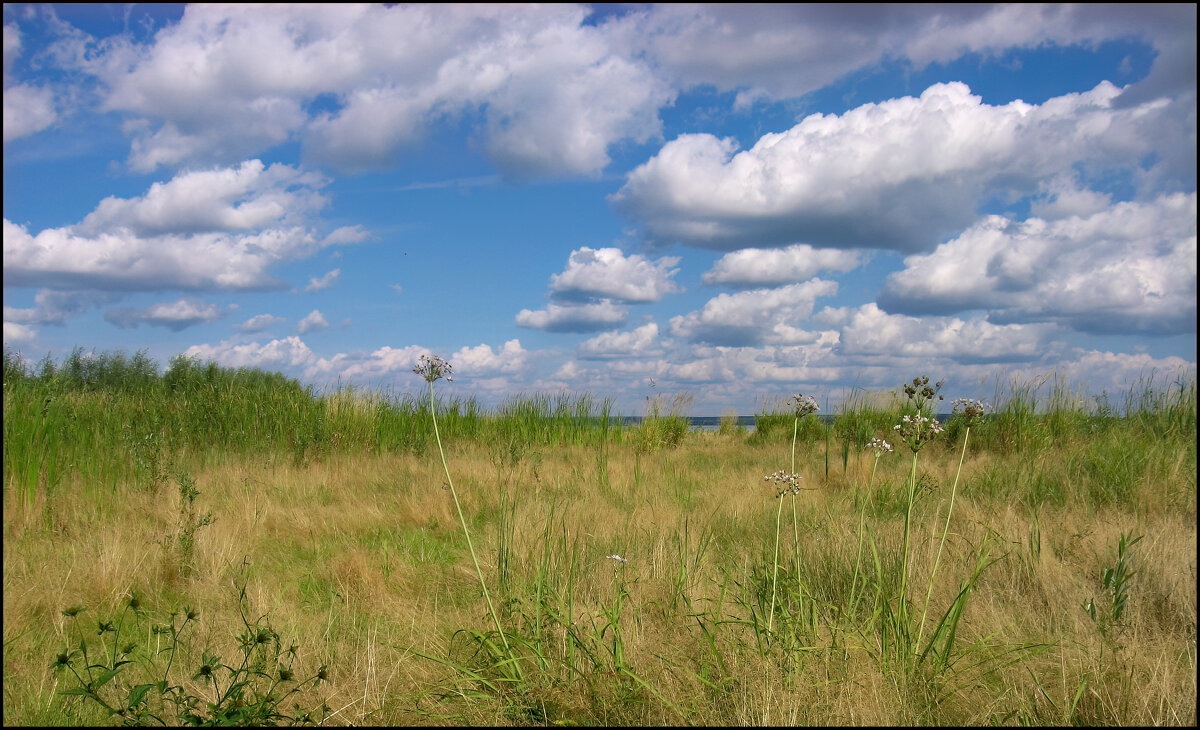 Берег Меши - **** vedin
