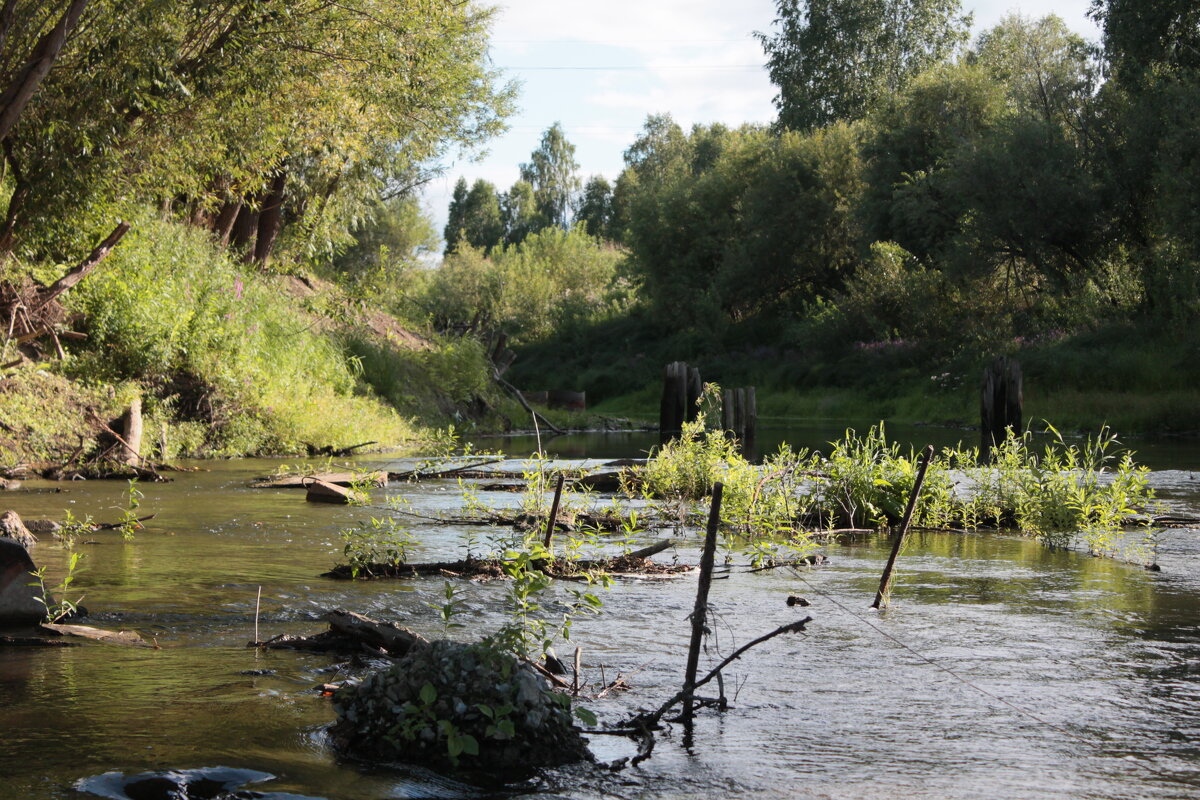 омелела.. - Андрей Петренко