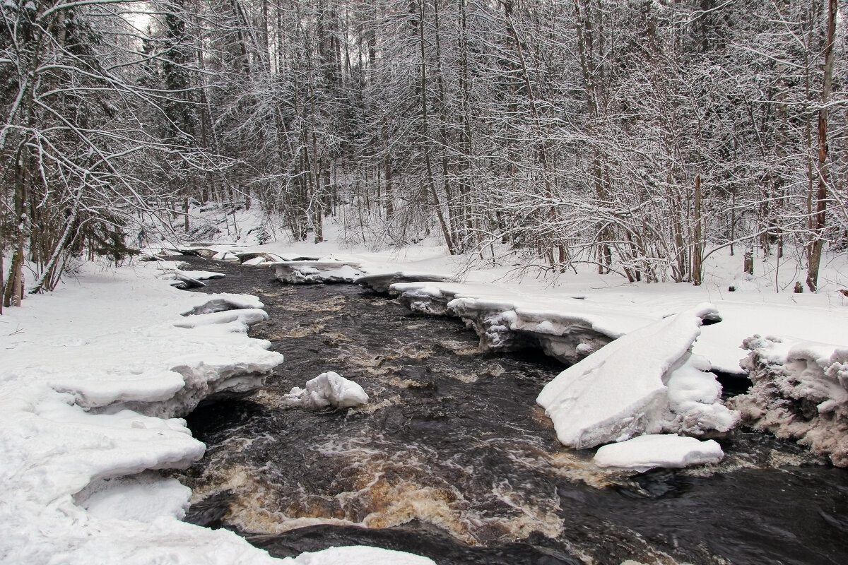 Линдуловская роща - skijumper Иванов