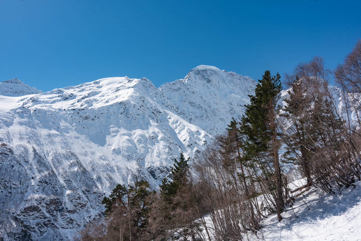 *** - Дмитрий Лупандин