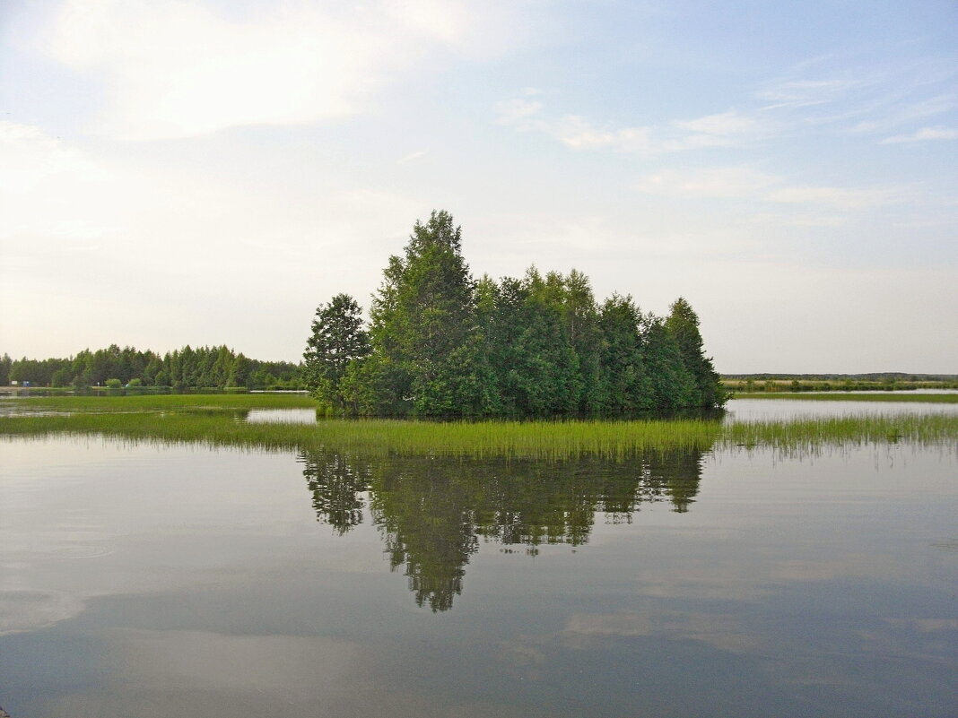 Лето, озеро, отражение. - VasiLina *