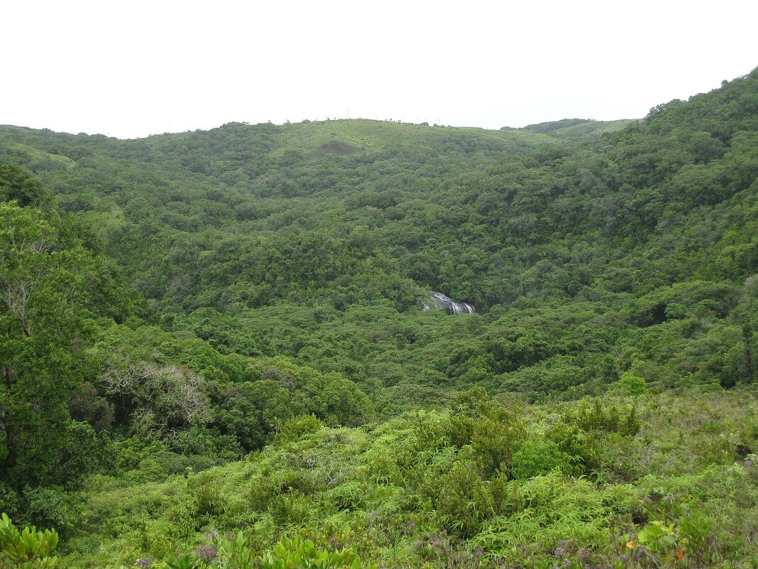 На острове Корор. - unix (Илья Утропов)