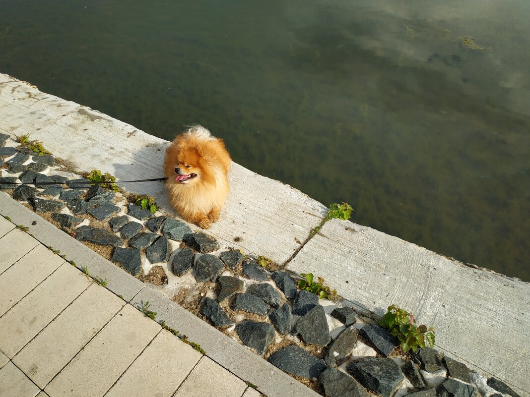 Из наших, из рыжих :-) - Андрей Лукьянов