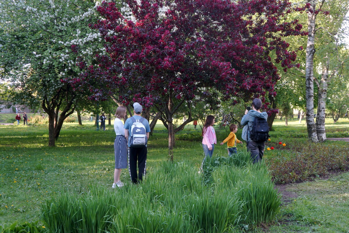 в Таврическом саду - zavitok *