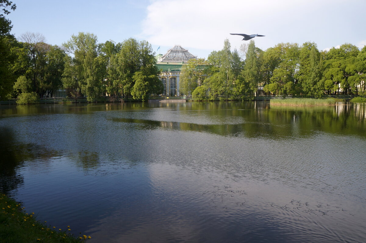 Таврический сад - zavitok *