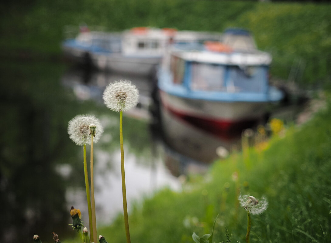 Здравствуй, лето. - Магомед .