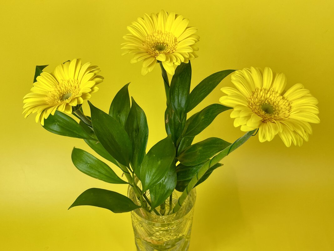 * - Виктор Орехов