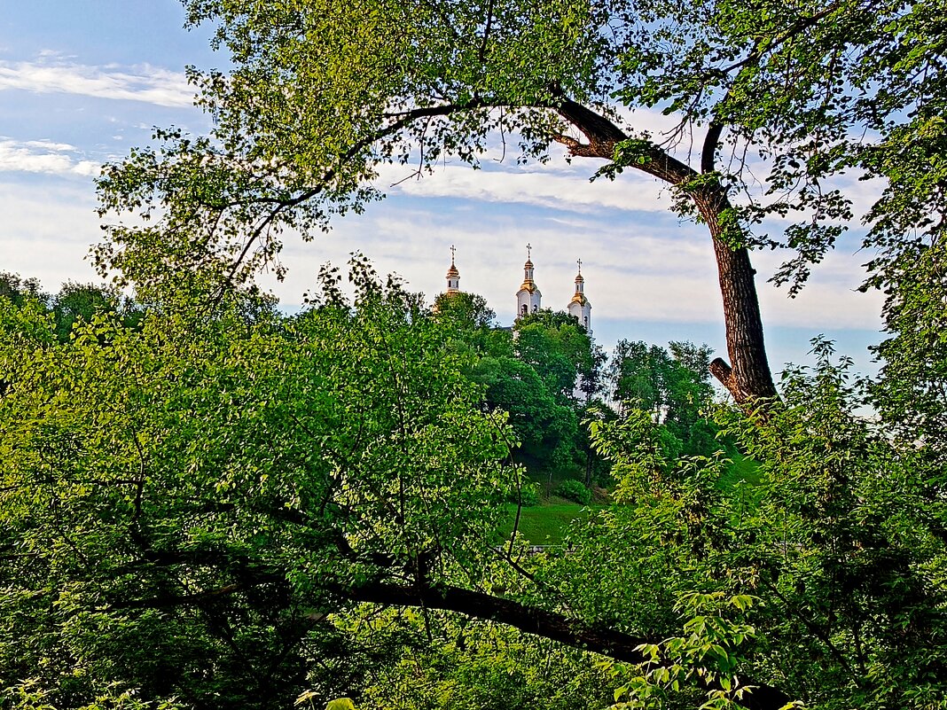 В зеленом обрамлении - Vladimir Semenchukov В зеленом обрамлении - Vladimir Semenchukov