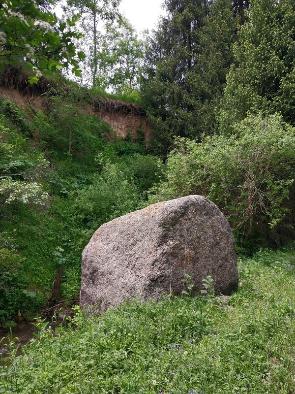 Talgar. - Murat Bukaev 