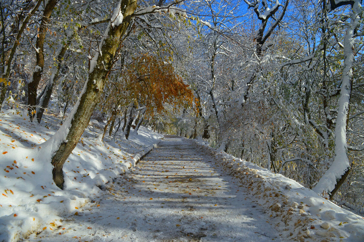 Солнечная осень...... - Юрий Цыплятников Солнечная осень...... - Юрий Цыплятников