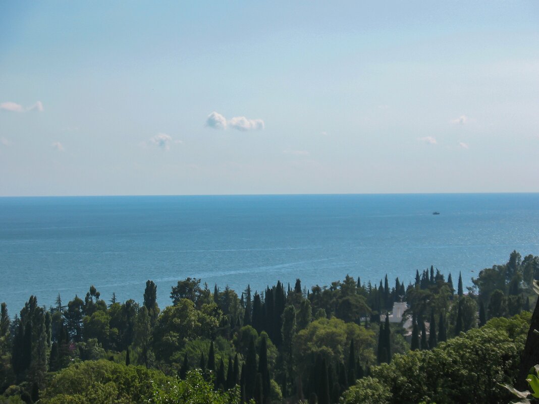 Море и Лето - Роман Шаров