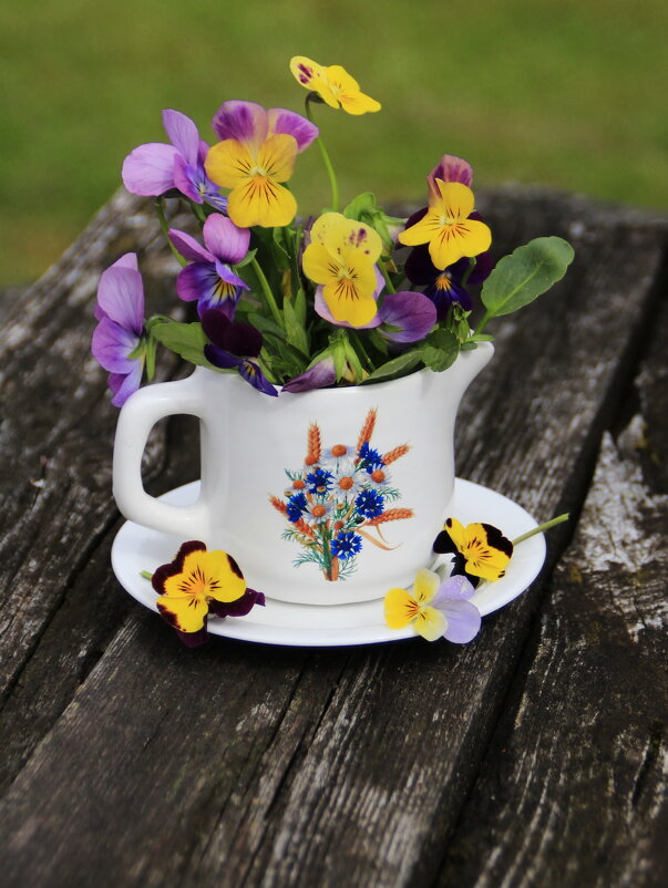 Встречаем Лето :) - Татьян@ Ивановна Встречаем Лето :) - Татьян@ Ивановна