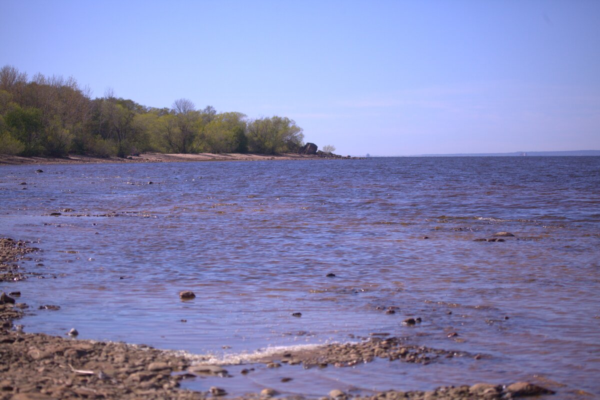 Блюдце Финского залива - Танзиля Завьялова