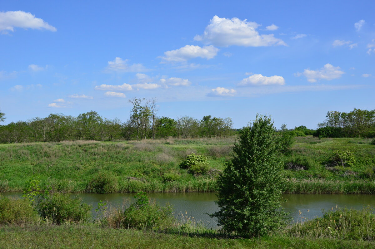 У  реки. - Виктор 