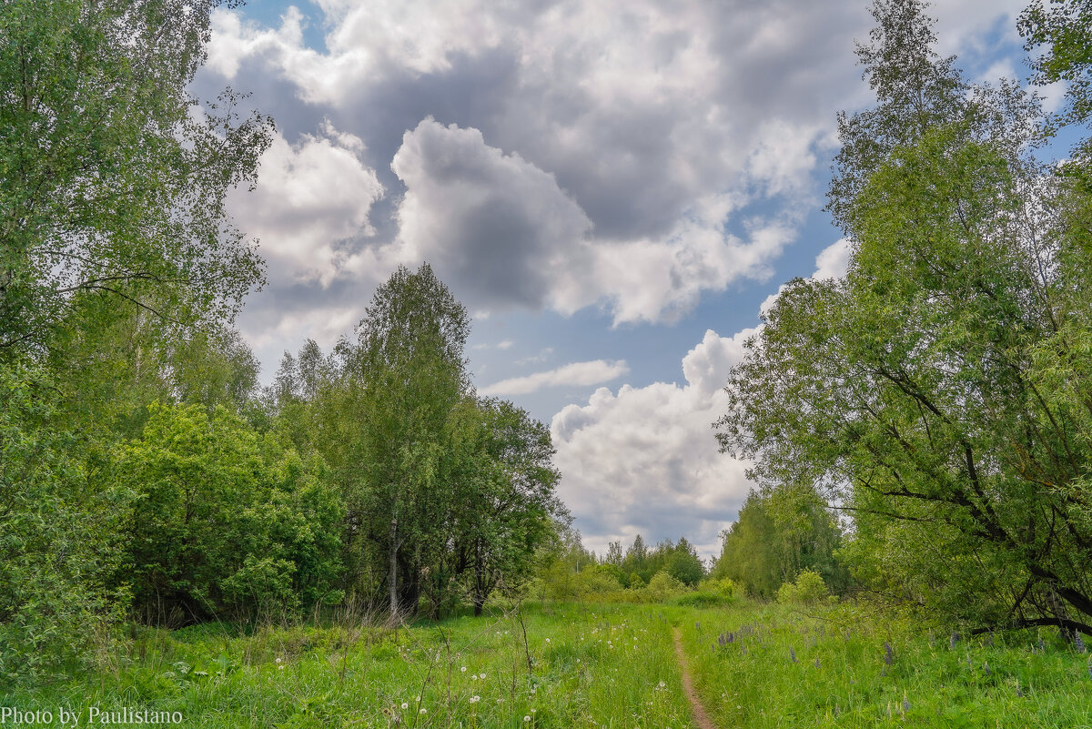Первый день лета... - Владимир Жданов