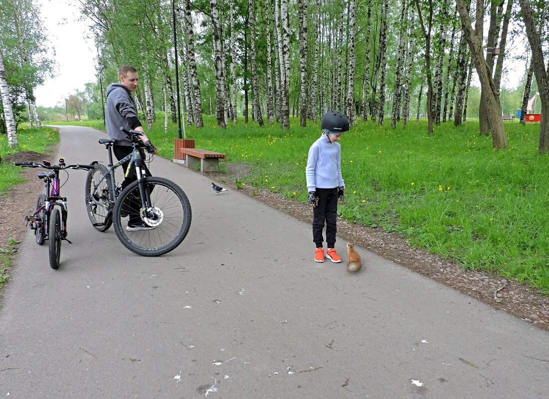 Привет! - Мария Васильева