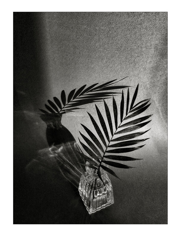 ... - Елена Демидова 