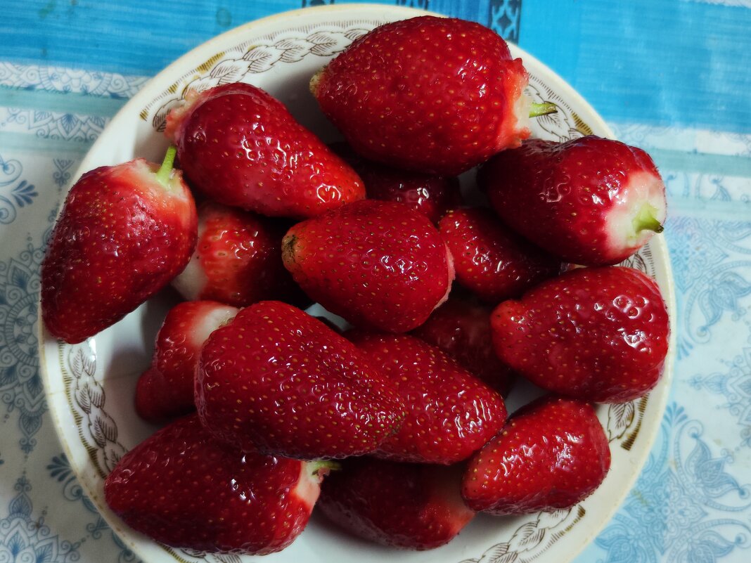 **** - Алексей Архипов **** - Алексей Архипов