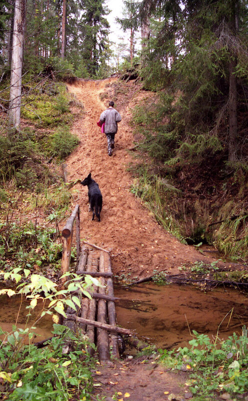 Прогулка - Наталья 