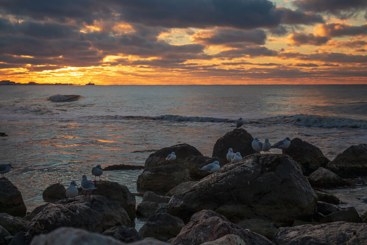 Вечер на море - Виктор Вечер на море - Виктор