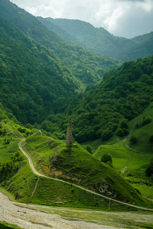 Сторожевая башня - Сергей Сабешкин