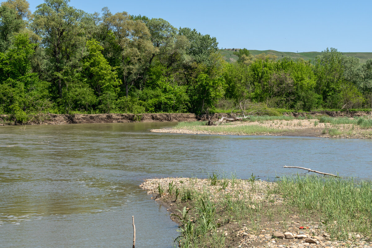 Река Кубань - Игорь Сикорский Река Кубань - Игорь Сикорский