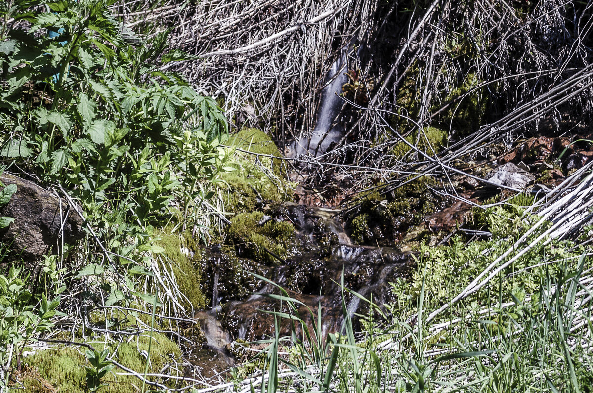 Затерянный - Андрей Щетинин