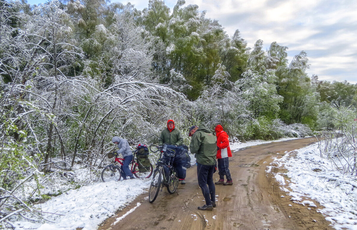 Переночевали в зимнем лесу - Сергей Цветков Переночевали в зимнем лесу - Сергей Цветков