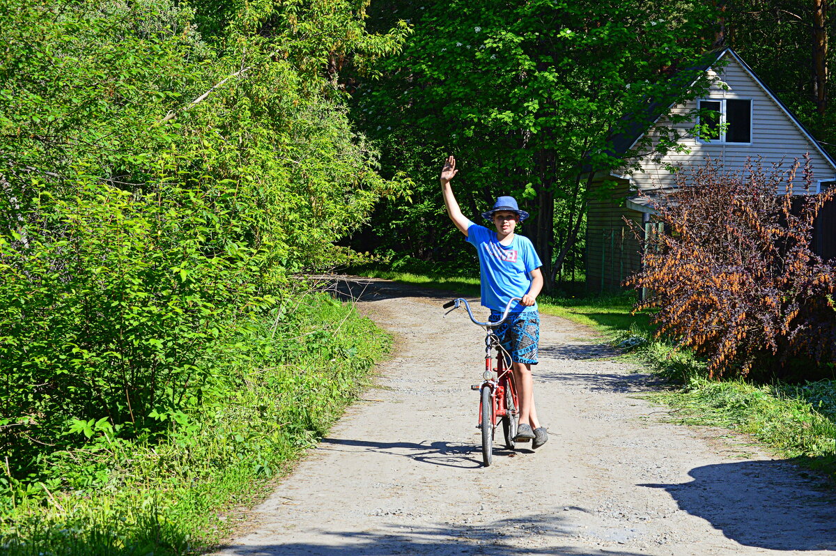 Здравствуй, ЛЕТО! - Татьяна Лютаева