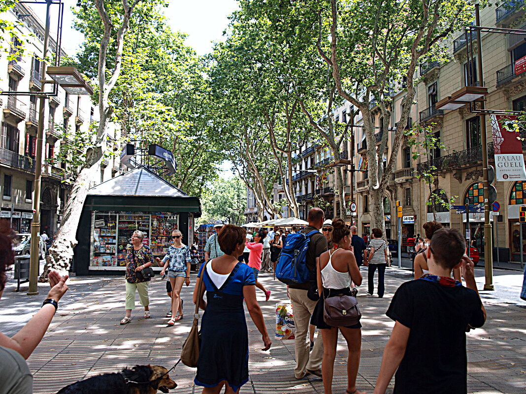 Барселона. - Владимир Драгунский