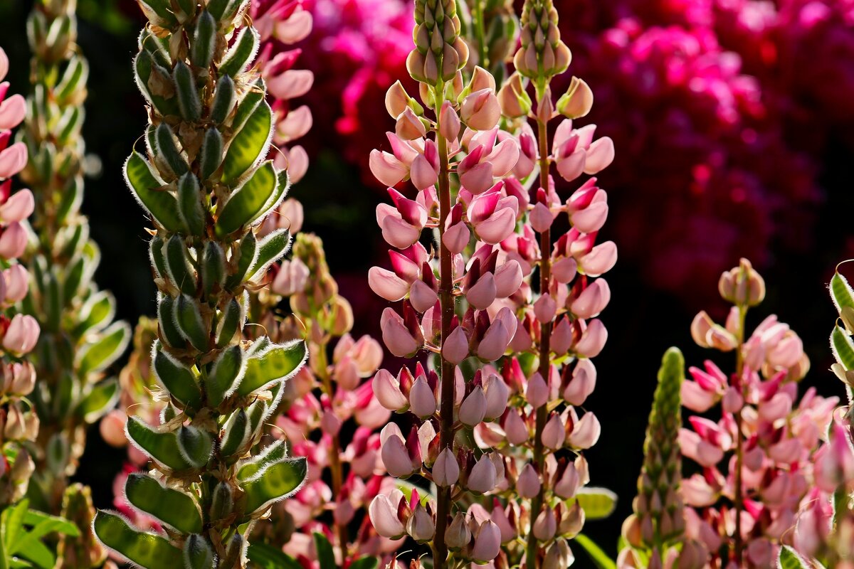 Доброе утро - Юрий. Шмаков Доброе утро - Юрий. Шмаков