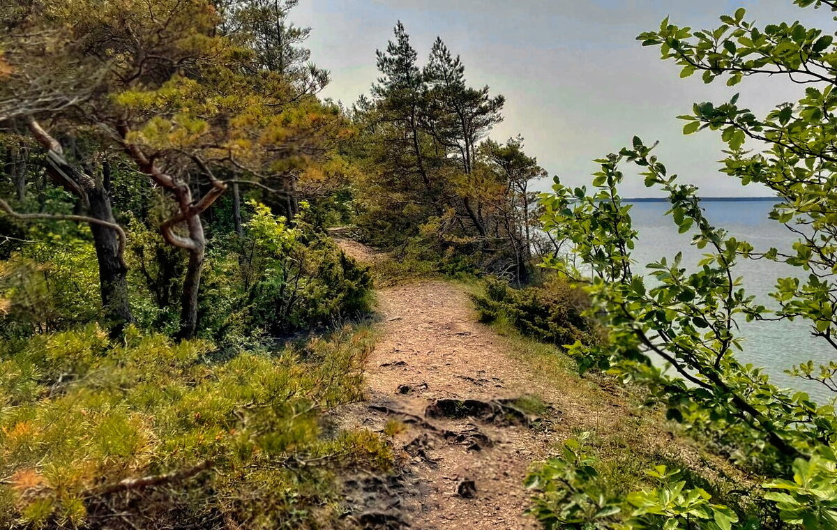 Saaremaa 010625m - Arturs Ancans